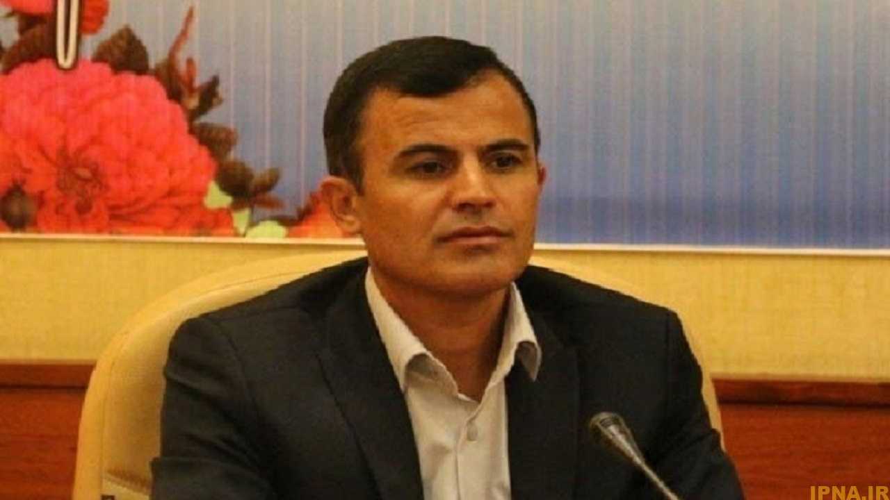 رضایی: حدادی مدال طلای قونیه را به دست می‌آورد