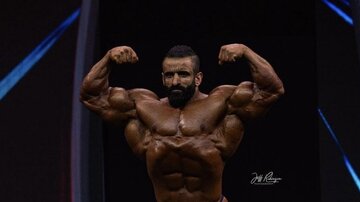 عکس| گرگ ایرانی شرمنده شد