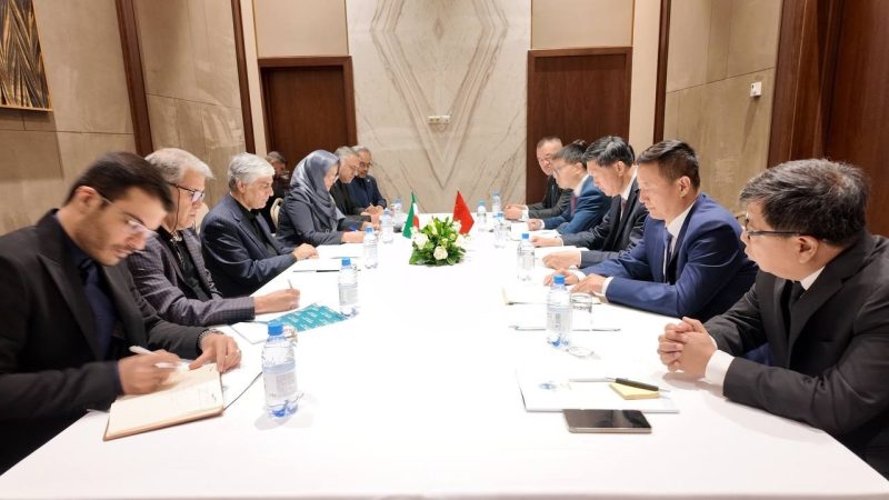 هاشمی: ایران آماده اجرایی شدن تفاهمنامه با چین است/ آماده کمک برای توسعه رشته زورخانهای هستیم