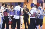 ۲۰ تکواندوکار در اردوی تیم ملی آقایان