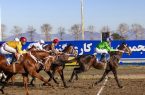 «تاخت هیجان در کورس گنبد؛ قهرمانی‌های پرابهت در شش دور مسابقات اسبدوانی»
