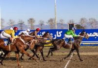 «تاخت هیجان در کورس گنبد؛ قهرمانیهای پرابهت در شش دور مسابقات اسبدوانی» «تاخت هیجان در کورس گنبد؛ قهرمانیهای پرابهت در شش دور مسابقات اسبدوانی»