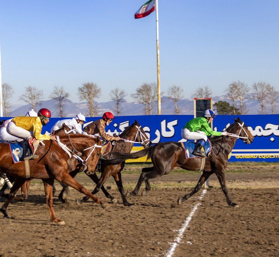 «تاخت هیجان در کورس گنبد؛ قهرمانی‌های پرابهت در شش دور مسابقات اسبدوانی»
