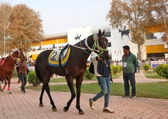 تاخت‌وتاز تماشایی در گنبدکاووس؛ روز دوم هفته پنجم کورس پاییزه با درخشش «هاکان محمدی»، «سعادت» و «زیبای پریسا»
