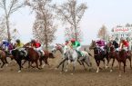 کورس پاییزه گنبدکاووس در اوج هیجان؛ ۲۴۰ اسب در ایستگاه هفتم برای جوایز ۸۳ میلیاردی تاخت می‌زنند