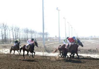 قهرمانان متنوع در هفته یازدهم کورس اسبدوانی گنبدکاووس معرفی شدند قهرمانان متنوع در هفته یازدهم کورس اسبدوانی گنبدکاووس معرفی شدند