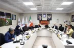 گام تازه پارالمپیک برای اجرای طرح جانبازان وطن