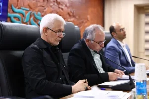فدراسیون ووشو ایران