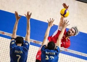 لهستان برزیل